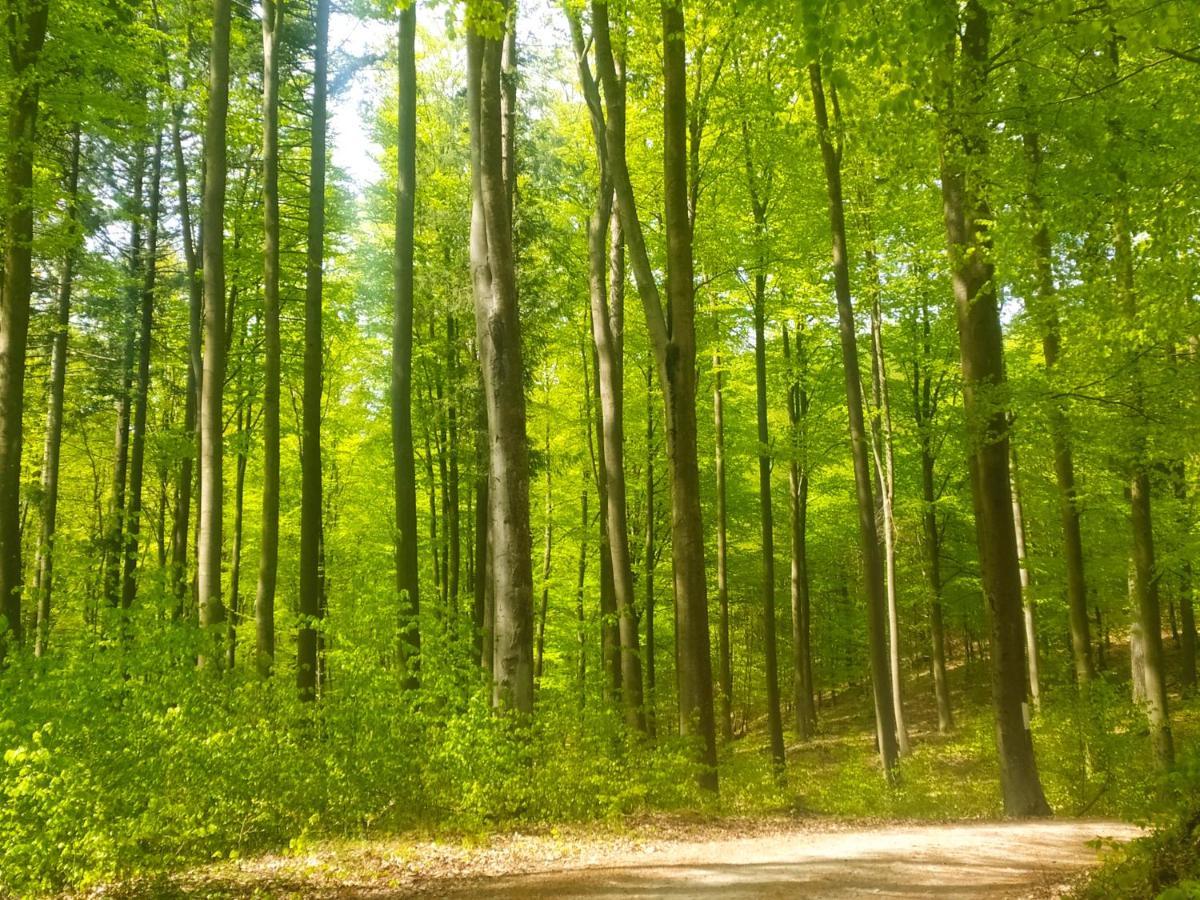 Wczasy Sandi Chlapowo Władysławowo Exterior foto